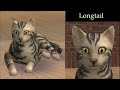 Warrior Cat Theme Songs Part 1