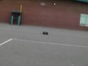 SANY0019.MP4