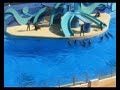 HongKong Ocean park 33
