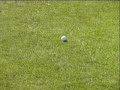 Learing to Play Golf with Ben, Costin and Kent