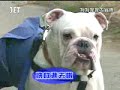 El Paseo Inolvidable de Pan Kun y James