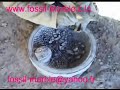 best fossil and marble in morocco rissani working lavabo