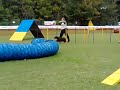 Isabel Agility 1