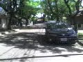 al pdo con dani