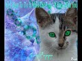 Jaypaw and Poppypaw - What I\