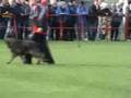 BSP 2008 Baunatal, Schutzdienst
