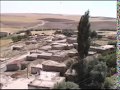 sagirkaraca - asik CanAli -