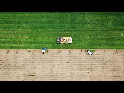 Rasen auf Reisen: Deutsches Gras in Russlands WM-Ar ...