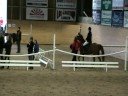 Hoppning i Laholm hösten 2008!