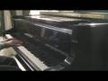 Pachelbel Canon in D