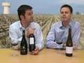 Wine Week 77: Letting someone else do the cellaring.