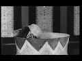 silent film