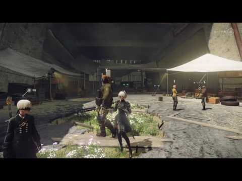 動画