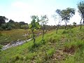 Bomba de Barro guarico