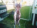 hunting trip