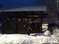 videos de Climbing a big fence!