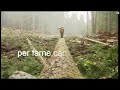 Greenpeace: non gettate le foreste nel water!