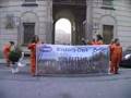 Greenpeace: non gettate le foreste nel water!