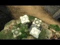 css music video with Snow Patrol