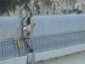 pastrana vs botteri