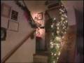 videos de Woman that has 37 christmas trees