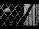 Beer for Breakfast - free flv video @ vwatch.tv