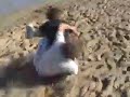 The Persuit.mov