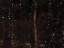 a short film about the lights on avenue des champs-�lys�es, in the middle of december, in the middle of the night.  by lenni jabour.