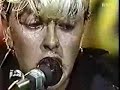 Storm The Embassy-Stray Cats
