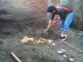 UMSNH COMPOSTAS