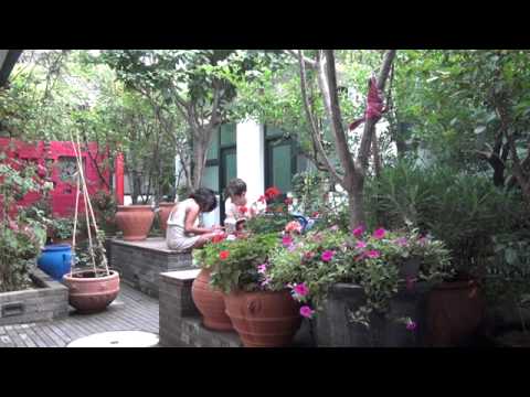 Video von Peking Yard Hostel