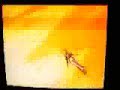 Thumbnail #1