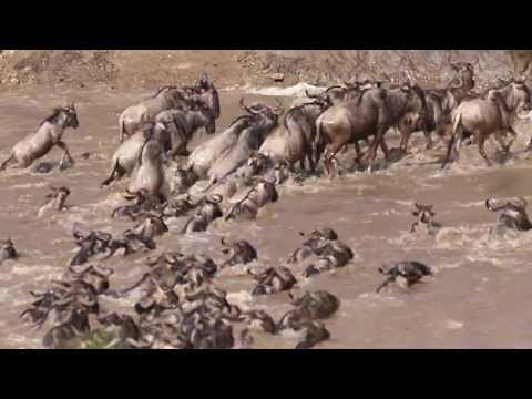  07-Days Amboseli National Park -Tre...