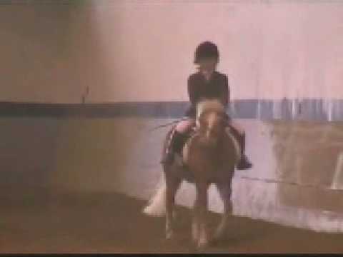 first time jumping a pony at a show!! funny