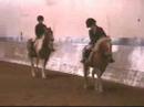 first time jumping a pony at a show!! funny