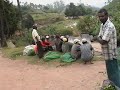 173 HOW GRANULAR BLACK TEA IS MADE IN KERALA, INDIA. 173 HOW GRANULAR BLACK TEA IS MADE IN KERALA, INDIA.