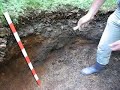 Soil profiling in the Black Forest