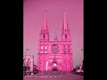 hermoso arandas