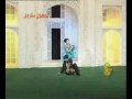 Sheeza-Tauba Tauba-Mujra Sheeza-Tauba Tauba-Mujra