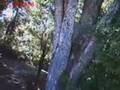 videos de Bike ride, nov 08 part 2