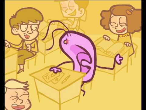 Imagen de previsualización de YouTube