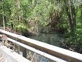 The Molly Chronicles - Atchafalaya.wmv The Molly Chronicles - Atchafalaya.wmv