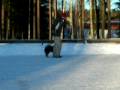 videos de 090107 Crut