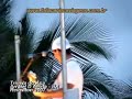 Folia Carioca Trivela Arraial - Te dar meu Mundo