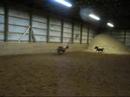 minis minis
