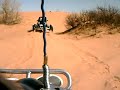 Chasing a Drakart Tiger at Little Sahara
