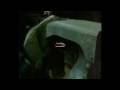 videos de trattore