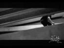Cancer Bats- French Immersion