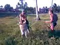 Hugo e Curuja em:O Jegue Amarrado Hugo e Curuja em:O Jegue Amarrado