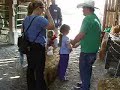 Farm Haven petting zoo Farm Haven petting zoo